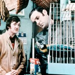 Dead Parrot Sketch: Video Friday