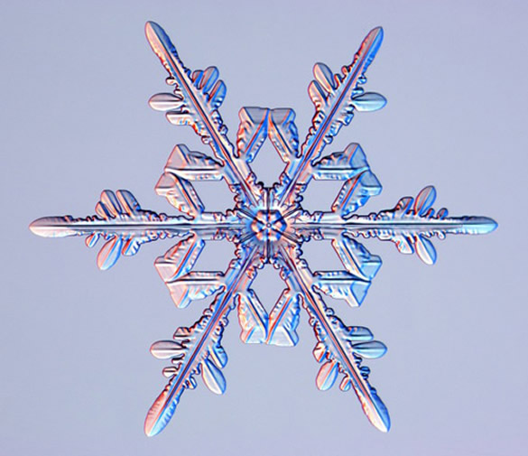 Snowflake vector tutorial